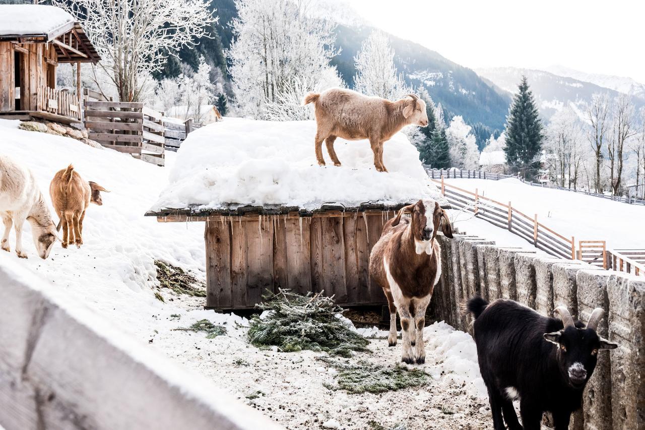 Peakini Farmhaus Villa Untertauern Exterior photo