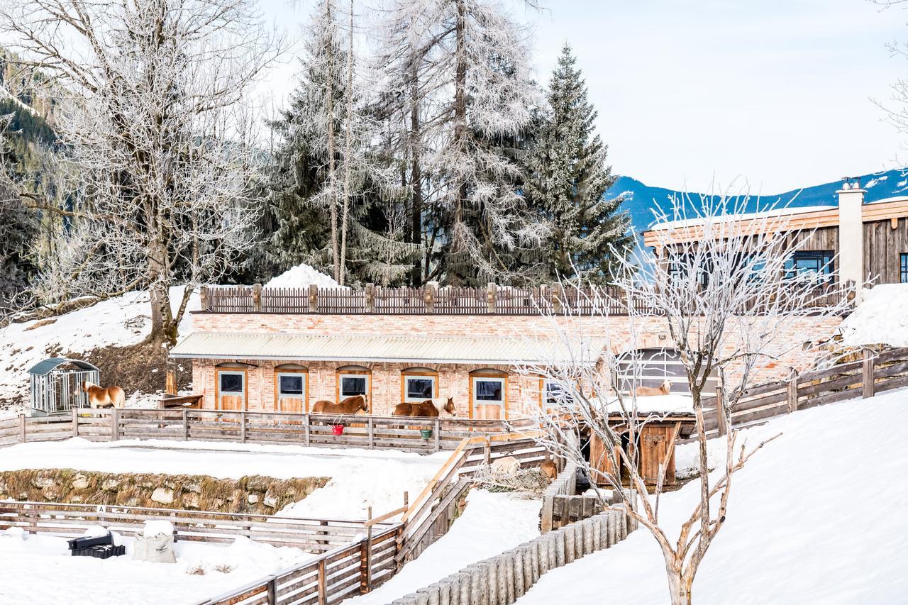 Peakini Farmhaus Villa Untertauern Exterior photo